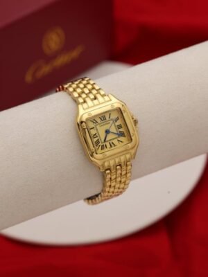 Watches 5436348288363262314 450px